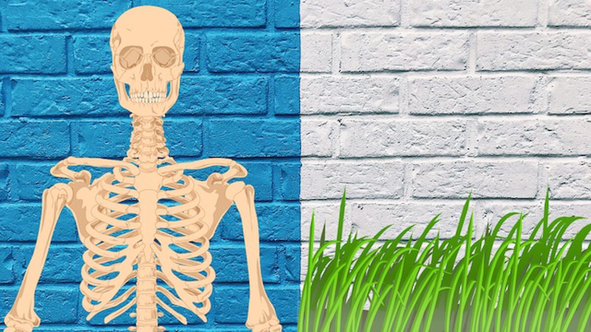 Compound Words image number null